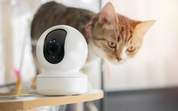 Close-up of a CCTV camera on a cat tower at home, demonstrating pet-friendly smart home technology for effective pet safety and monitoring.