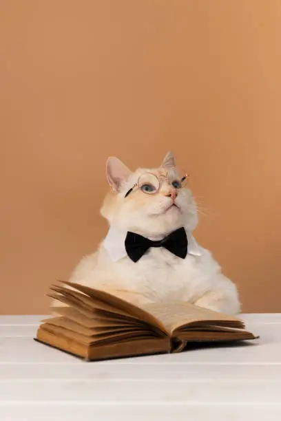 An academic cat in glasses and a bow tie sitting at a table with an open book, symbolizing pet-friendly technology and smart pet innovation faqs.